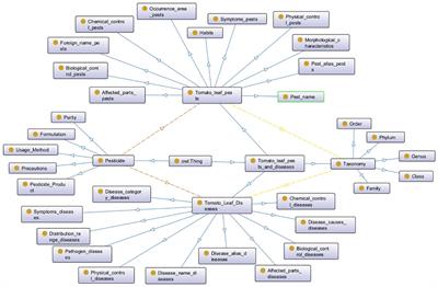 Research on the construction of a knowledge graph for tomato leaf pests and diseases based on the named entity recognition model